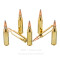 Image of Fiocchi 243 Win Ammo - 20 Rounds of 100 Grain PSP Ammunition