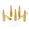 Image of Winchester 308 Win Ammo - 20 Rounds of 180 Grain PP Ammunition