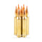 Image of Hornady Superformance 300 Win Mag Ammo - 20 Rounds of 180 Grain SST Ammunition