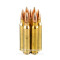 Image of Armscor 223 Rem Ammo - 20 Rounds of 55 Grain FMJ-BT Ammunition