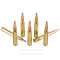 Image of Fiocchi Field Dynamics 30-06 Ammo - 20 Rounds of 180 Grain PSP Ammunition