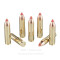 Image of Hornady 450 Bushmaster Ammo - 20 Rounds of 250 Grain FTX Ammunition