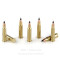 Image of CCI 17 HMR Ammo - 50 Rounds of 17 Grain V-MAX Ammunition