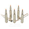 Image of Federal 300 Win Mag Ammo - 20 Rounds of 165 Grain Trophy Bonded Tip Ammunition