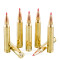 Image of Hornady Precision Hunter 300 Win Mag Ammo - 20 Rounds of 200 Grain ELD-X Ammunition