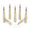 Image of Hornady Precision Hunter 30-06 Ammo - 20 Rounds of 178 Grain ELD-X Ammunition