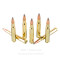 Image of Winchester 30-06 Ammo - 20 Rounds of 165 Grain PSP Ammunition