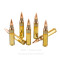 Image of PMC X-TAC 5.56x45 Ammo - 840 Rounds of 55 Grain FMJBT Ammunition in Bandoliers in Ammo Can
