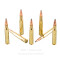 Image of Fiocchi 30-06 Ammo - 20 Rounds of 165 Grain PSP Ammunition