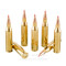 Image of Black Hills Gold 243 Win Ammo - 20 Rounds of 95 Grain Polymer Tipped Ammunition