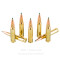 Image of Remington Core-Lokt Tipped 308 Win Ammo - 20 Rounds of 180 Grain Polymer Tip Ammunition