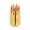 Image of Federal Tactical TRU 223 Rem Ammo - 500 Rounds of 55 Grain GameKing HPBT Ammunition