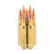 Image of Federal 30-06 Ammo - 200 Rounds of 180 Grain Fusion Ammunition