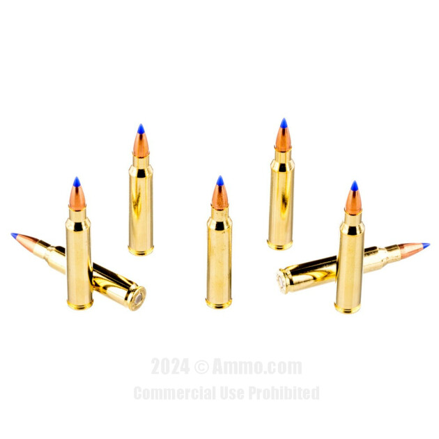 Shop Fiocchi 223 Ammo (In Stock Now) At