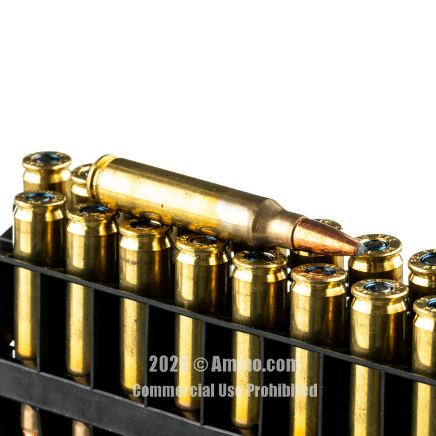 Best .223 Ammo for Deer Hunting (Ethical & Effective)
