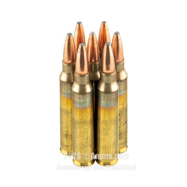 Best .223 Ammo for Deer Hunting (Ethical & Effective)