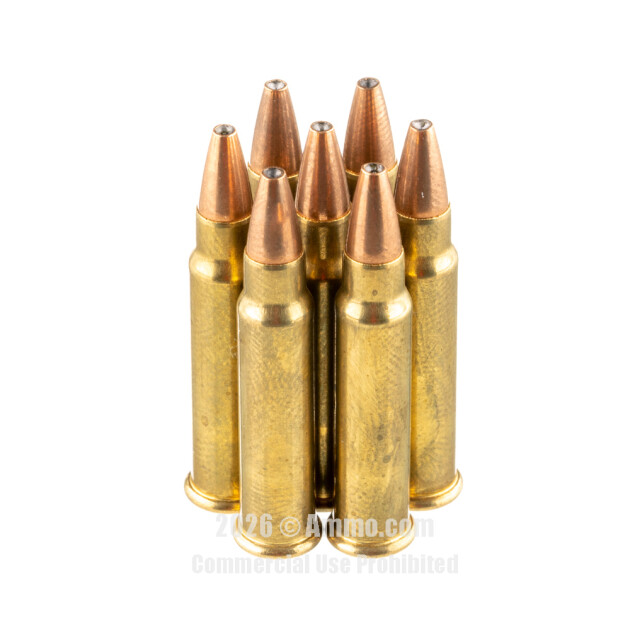 Bulk 17 HMR Ammo Online (Fast Shipping & Best Prices)
