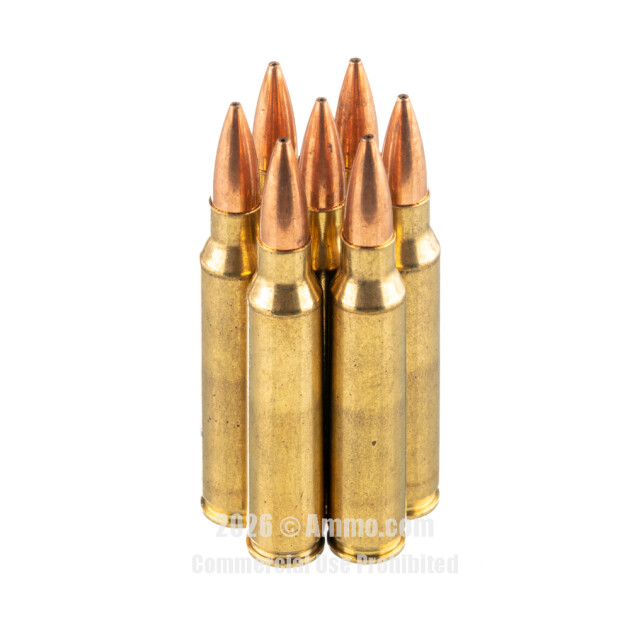 Best Sniper Ammo to Make Every Shot Count (Long-Range Shooting)