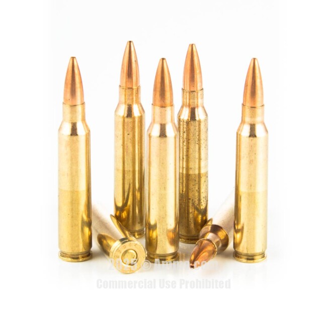Pmc 223 Ammo For Sale In Stock Now