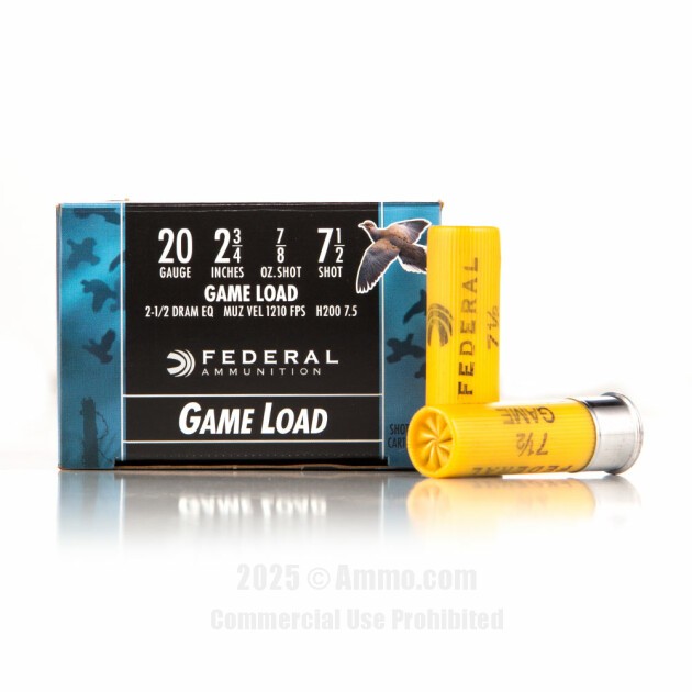Best 20 Gauge Ammo by Experts at