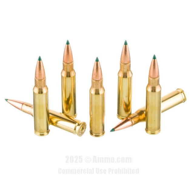 Best 308 Ammo Recommended by the Experts at Ammo.com
