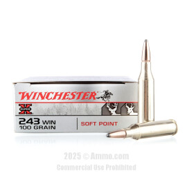 Image of Winchester 243 Win Ammo - 20 Rounds of 100 Grain PP Ammunition