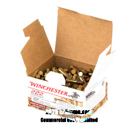 Image of Bulk 22 LR Ammo - 2220 Rounds of Bulk 36 Grain CPHP Ammunition from Winchester