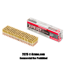 Image of Bulk 22 LR Ammo - 2000 Rounds of Bulk 42 Grain CPHP Ammunition from Winchester