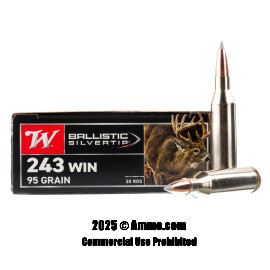 Image of Winchester Ballistic Silvertip 243 Win Ammo - 20 Rounds of 95 Grain Polymer Tip Ammunition