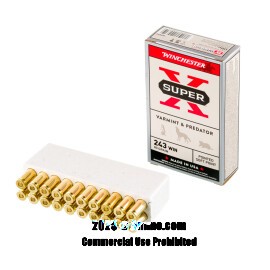 Image of Bulk 243 Win Ammo - 200 Rounds of Bulk 80 Grain JSP Ammunition from Winchester