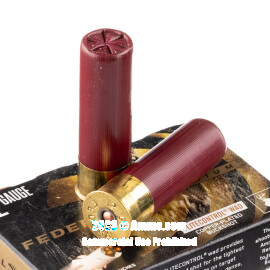 Image of Bulk 12 Gauge Ammo - 250 Rounds of Bulk Not Applicable #00 Buck Ammunition from Federal