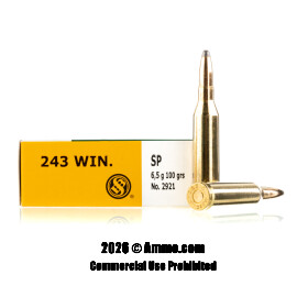 Image of Sellier and Bellot 243 Win Ammo - 20 Rounds of 100 Grain SP Ammunition
