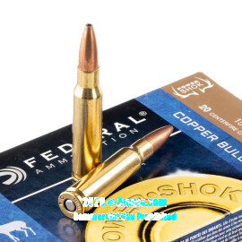 Image of Bulk 308 Win Ammo - 200 Rounds of Bulk 150 Grain SCHP Ammunition from Federal