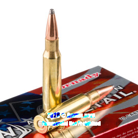 Image of Bulk 308 Win Ammo - 200 Rounds of Bulk 165 Grain SP Ammunition from Hornady