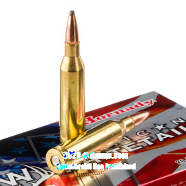Image of Bulk 243 Win Ammo - 200 Rounds of Bulk 100 Grain SPBT Ammunition from Hornady