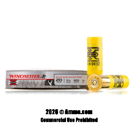 Winchester 20 Gauge Ammo - 5 Rounds of 3/4 oz. Rifled Slug Ammunition