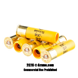 Image of Bulk 20 Gauge Ammo - 250 Rounds of Bulk Not Applicable #1 Buck Ammunition from Rio Ammunition