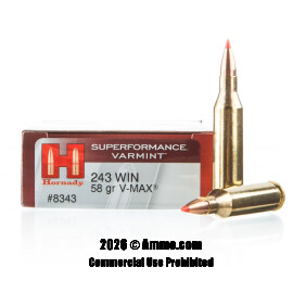 Image of Hornady Superformance Varmint 243 Win Ammo - 20 Rounds of 58 Grain V-MAX Ammunition