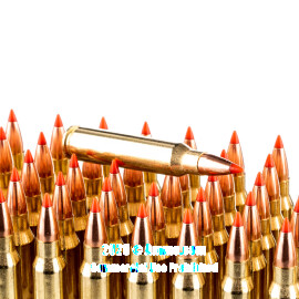 Image of Bulk 223 Ammo - 500  Rounds of Bulk 55 Grain V-MAX Ammunition from Hornady