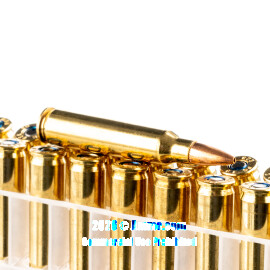 Image of Bulk 223 Ammo - 500  Rounds of Bulk 55 Grain HPBT Ammunition from Federal