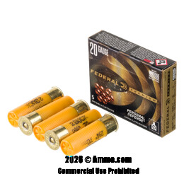 Image of Bulk 20 Gauge Ammo - 250 Rounds of Bulk Not Applicable #2 Buck Ammunition from Federal