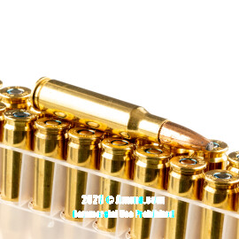 Image of Bulk 308 Win Ammo - 200 Rounds of Bulk 180 Grain SP Ammunition from Federal