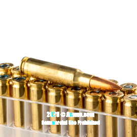 Image of Bulk 308 Win Ammo - 200 Rounds of Bulk 175 Grain HPBT Ammunition from Federal