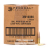 Click To Purchase This 5.56x45 Federal Ammunition