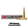 Click To Purchase This 223 Winchester Ammunition