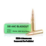 Click To Purchase This 300 Blackout Sellier and Bellot Ammunition