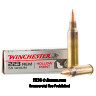 Click To Purchase This 223 Winchester Ammunition