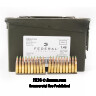 Click To Purchase This 5.56x45 Federal Ammunition