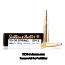 Click To Purchase This 30-06 Sellier and Bellot Ammunition
