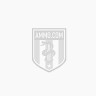 Click To Purchase This Armscor Ammunition